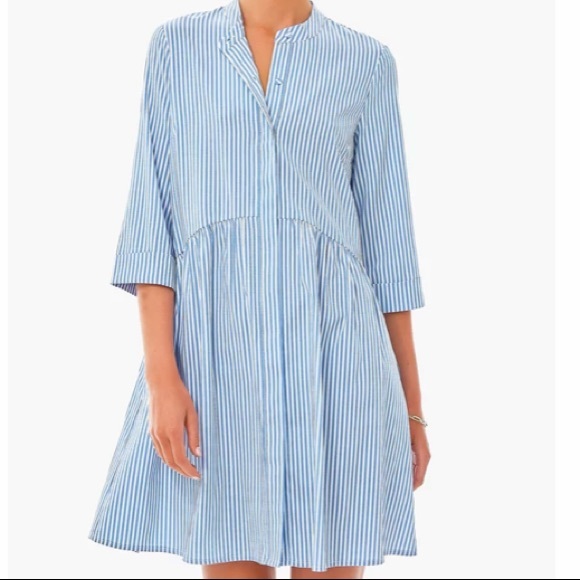 Blue Stripe Royal Shirt Dress TUCKERNUCK - Picture 4 of 13